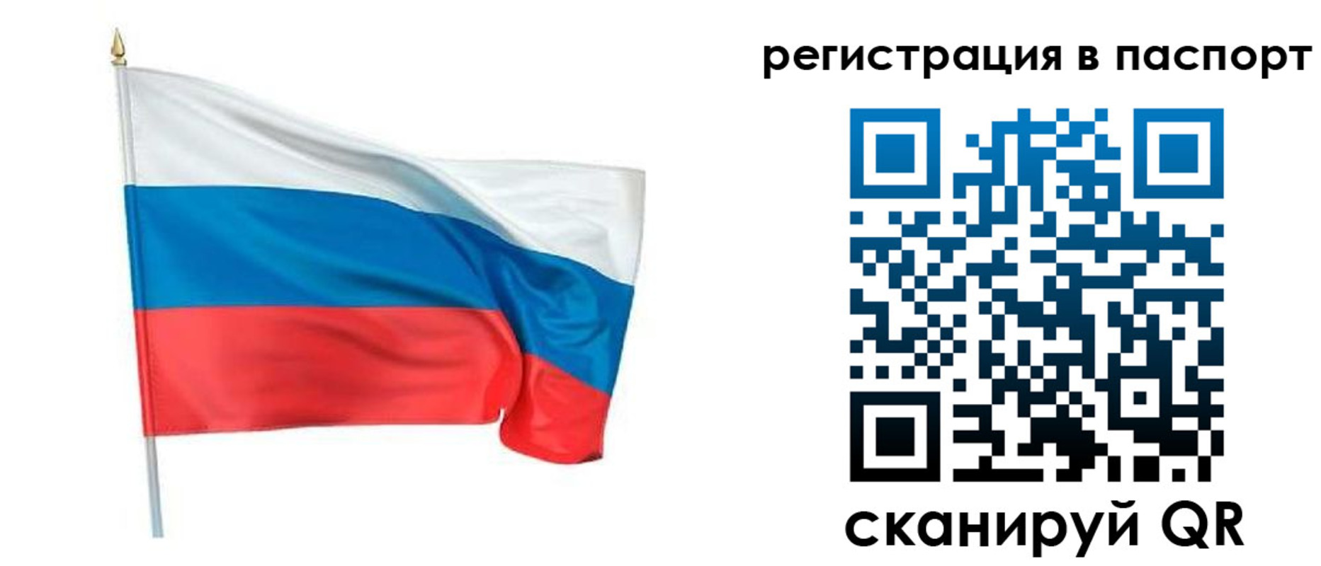 прописка штамп в Сергиевом Посаде